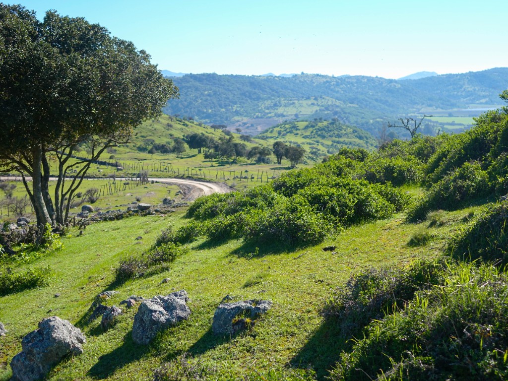Campos cultivados en entorno de Chepica